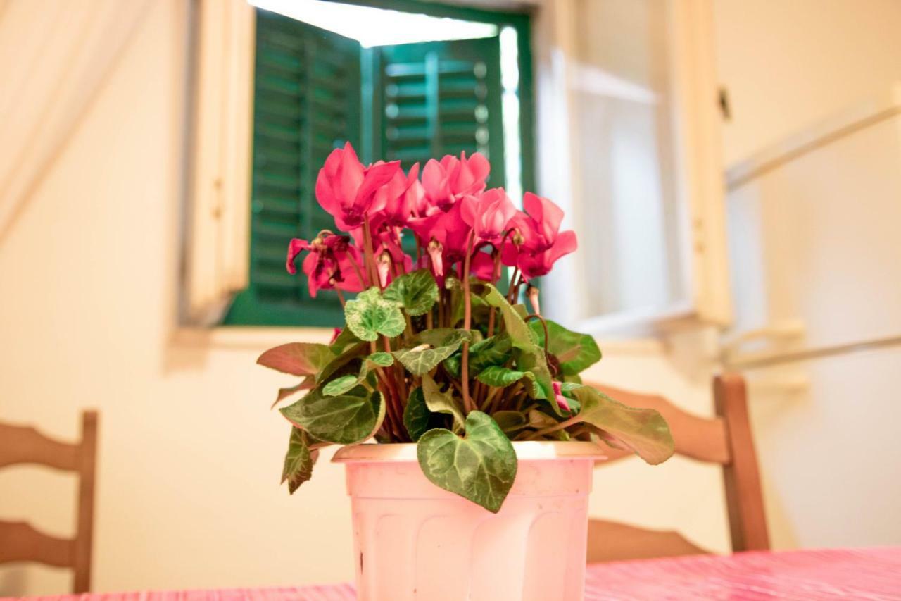 Apartman Juricic Labin  Dış mekan fotoğraf
